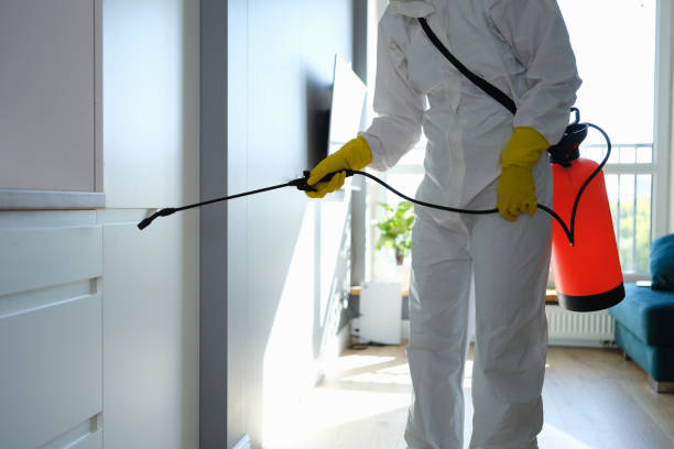 Best Mold Testing  in Morningside, MD