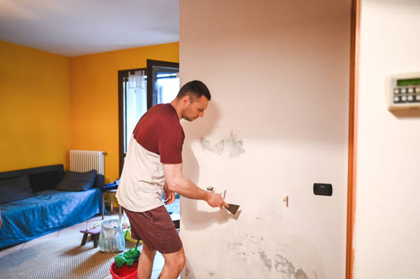 Best Mold Testing  in Morningside, MD